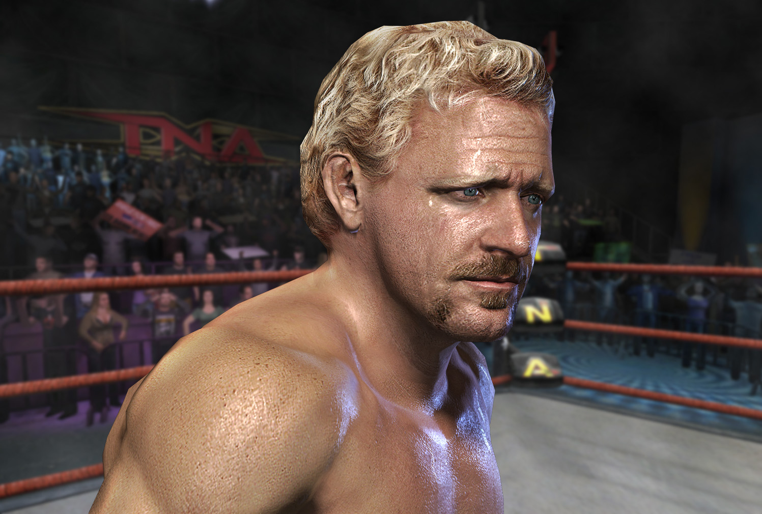 Jeff_Jarrett_TNA_Video_Game.jpg