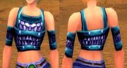 Outrunner's Chestguard