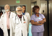 7x4 Beardface Colonel Doctor Ronald and Shirley