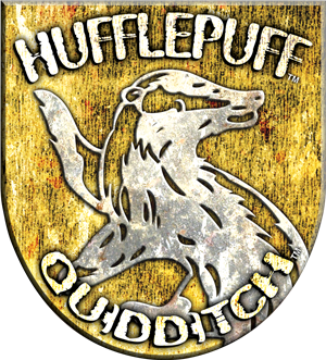 List of Quidditch teams - Harry Potter Wiki