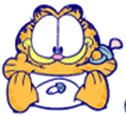 Cute garfield kitten