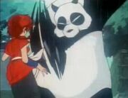 Pandavsgirl