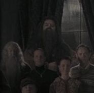 Order-Hagrid