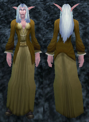 Archmage Robe, Stone Background, NE Female