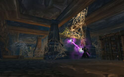 The Waking Halls