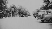 Whitebluffs1940