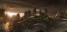 Harvest Marines