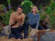 A garden on Delta Vega