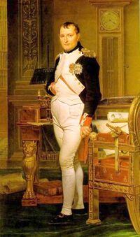 Napoleon bonapartes portrait