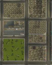 GTAJuniper Hill
