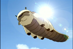 Appa vliegt