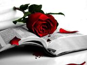LIBRO Y ROSA