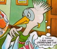 STC103-DoctorSorders