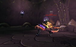 Radinius Fights Vaerdis