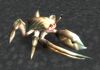 Young Reef Crawler