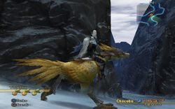 Paramina rift chocobo