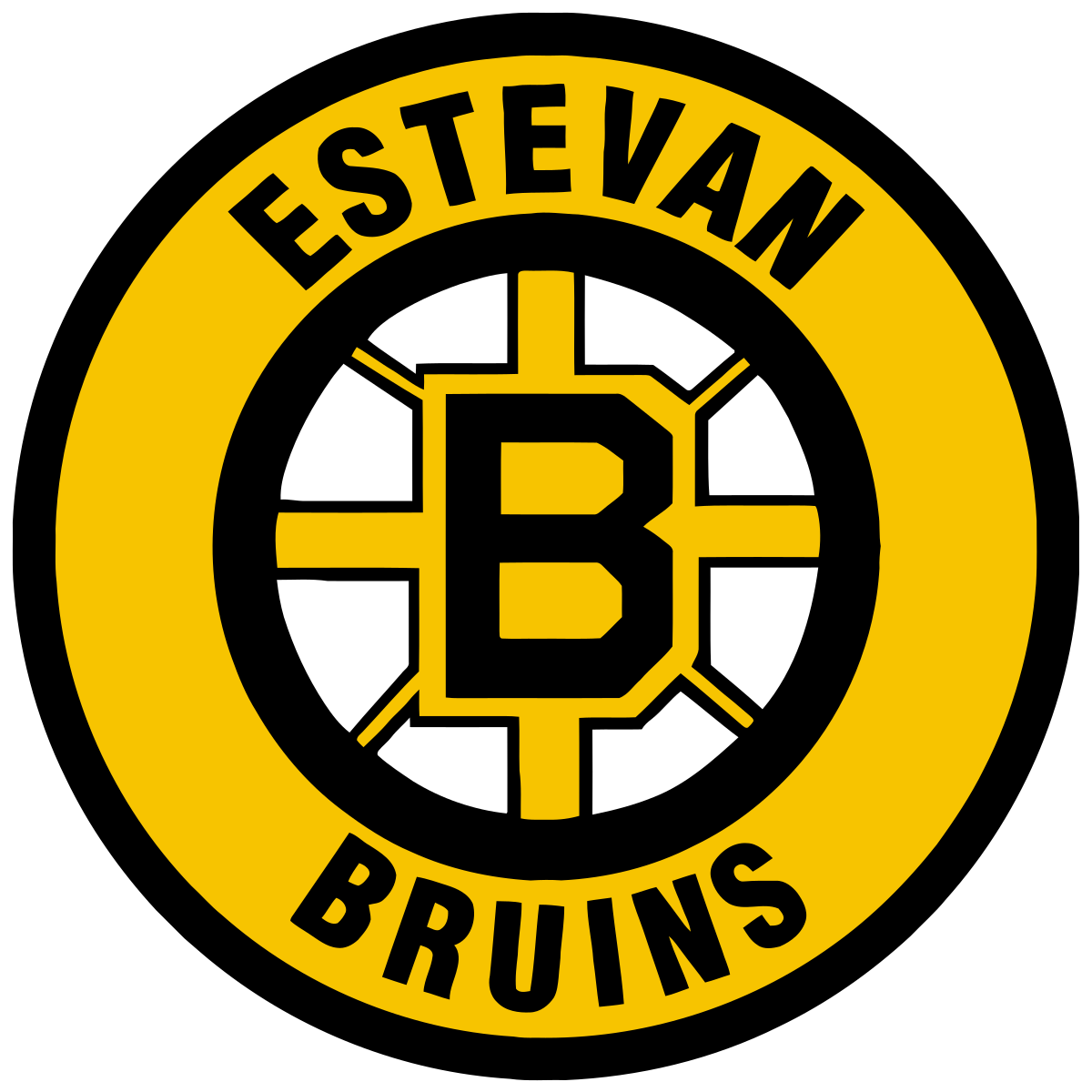 Estevan Bruins - Ice Hockey Wiki