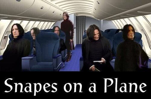 Snapes_om_a_plane.jpg