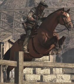 Wildlife.horsejump