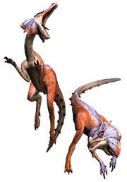 Jaggi.png