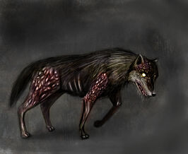 Concept dog