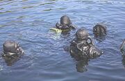 Navy SEALs (MJK)