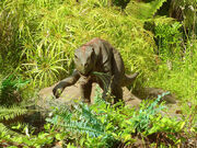 JP psittacosaurus