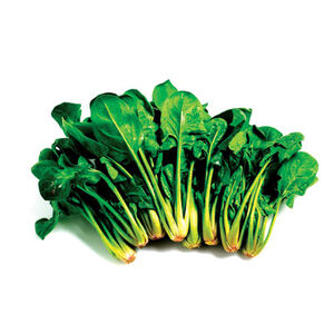 Fresh spinach