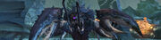 Craw banner