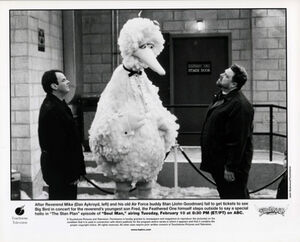BigBird soulmansitcomPressPhoto