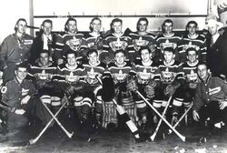 Edmonton mercurys