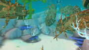 The-Accursed-Reef