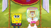 Spongebob-sandy-married