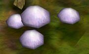 Purple Mushroom