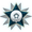 Badge Platinum
