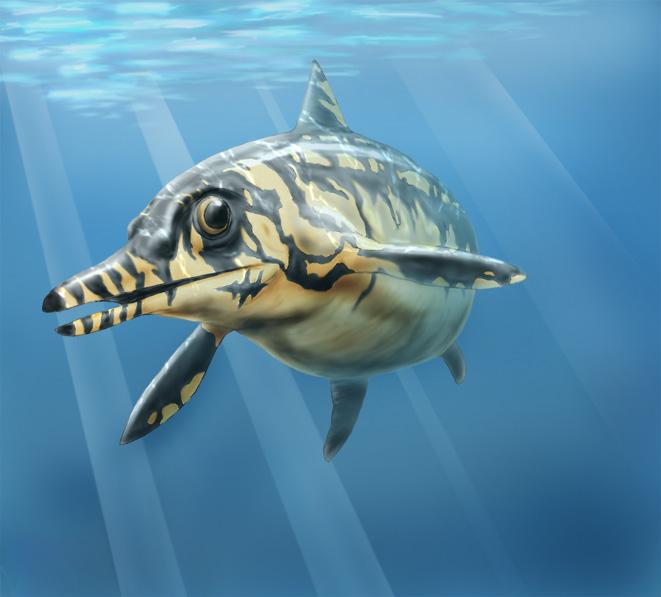 Ophthalmosaurus - Dinosaur Wiki