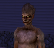 Loup-garou (Les Sims 2)