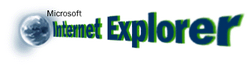 Internet Explorer logo from 1995