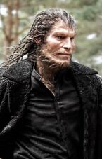Greybackdhprofileimg