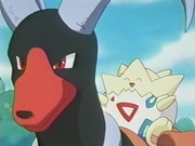 EP182 Houndoom y Togepi (3)