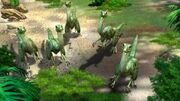 Compsognathus DD