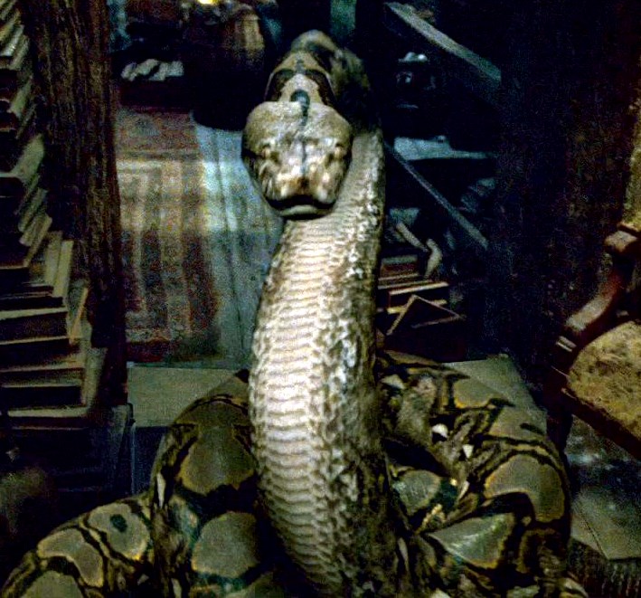 talk-nagini-harry-potter-wiki-wikia