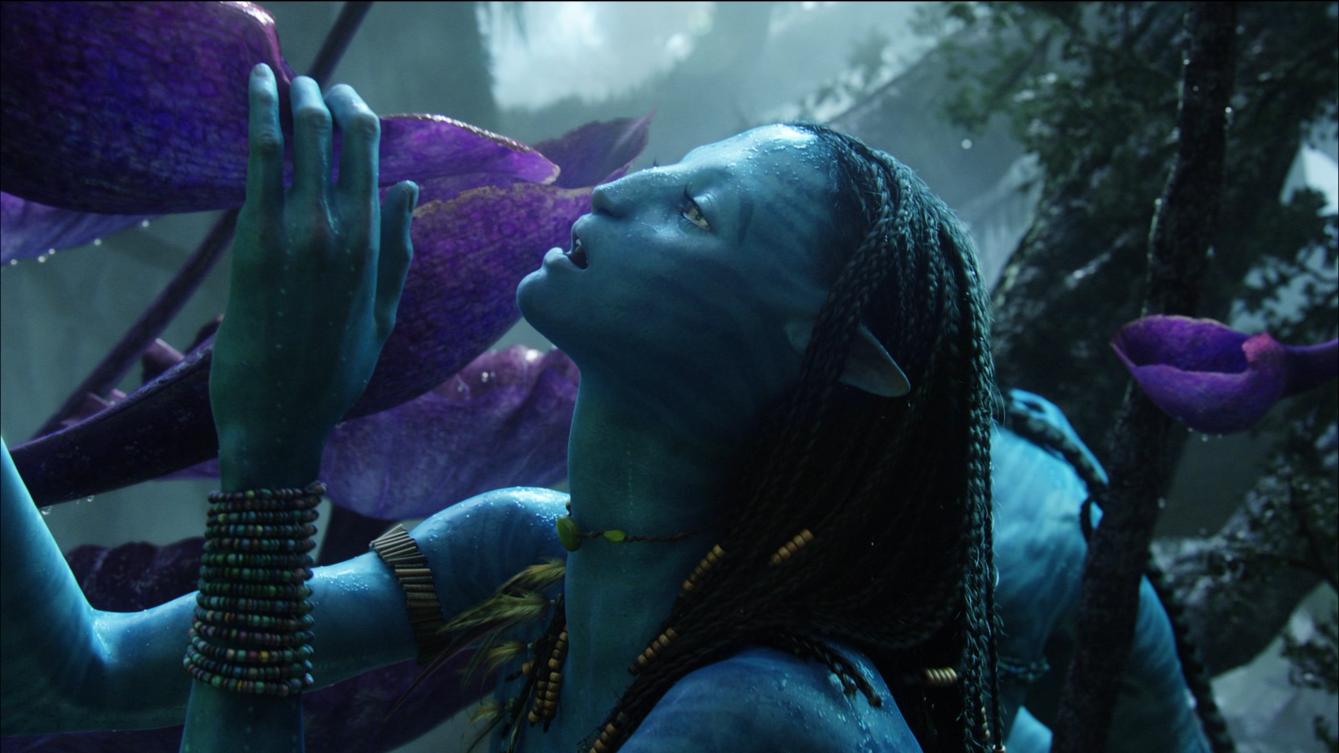 Image - Neytiri 20 HD.png - James Cameron's Avatar Wiki - Sam