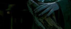 New Harry Potter and the Deathly Hallows Trailer (Plus Images) - Screen Rant