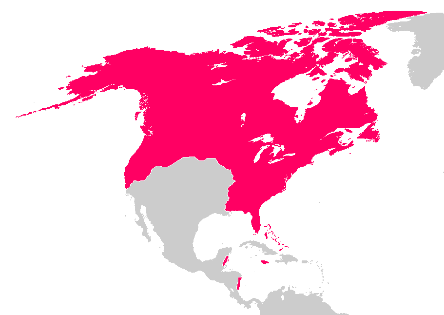 Confederation Of North America (twabaa) - Alternative History