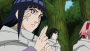 Hinatas Byakugan
