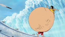 Gomu Gomu no Fusen