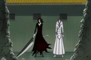 Zangetsu Shikai Spirit