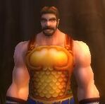 Glimmering mail breastplate