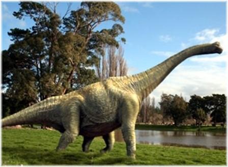 wiki brachiosaurus